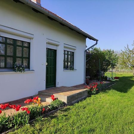 Szőlőhegyi házikó - Cottage in the vineyard Balatonszemes Exterior foto