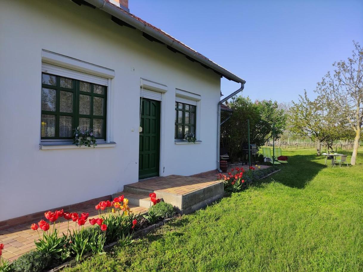 Szőlőhegyi házikó - Cottage in the vineyard Balatonszemes Exterior foto