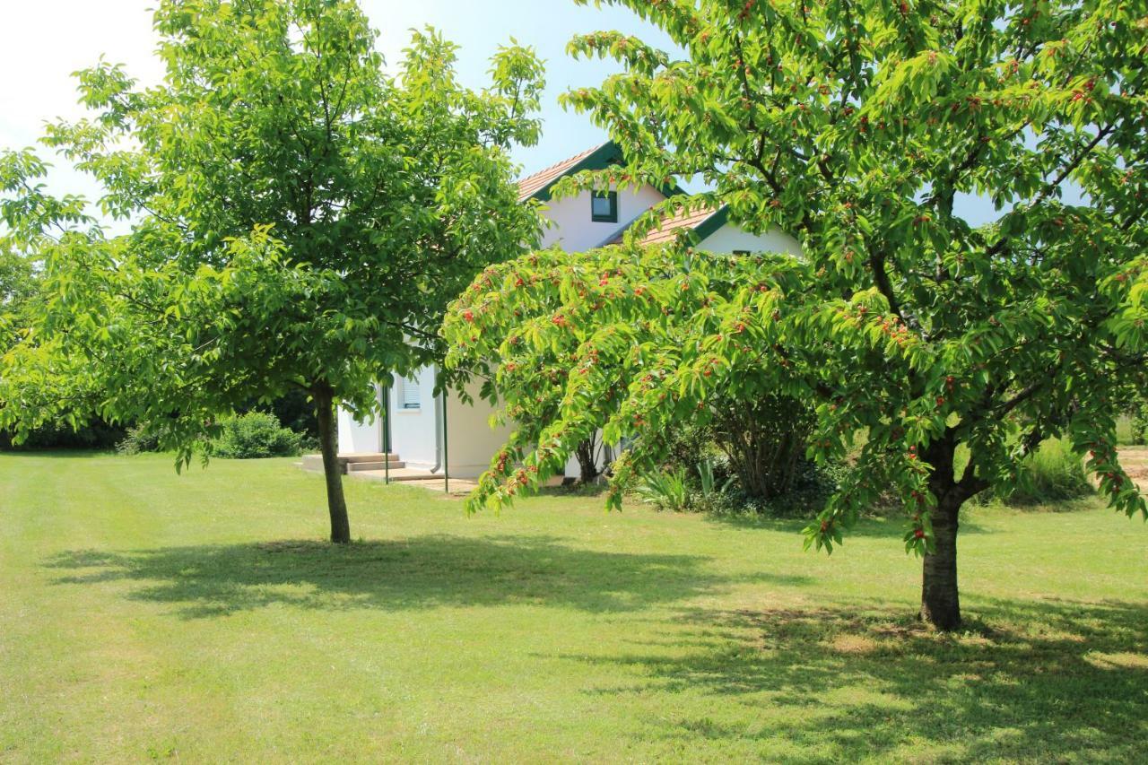 Szőlőhegyi házikó - Cottage in the vineyard Balatonszemes Exterior foto